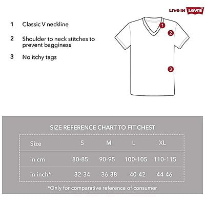 Levi’s Ultra-Soft Cotton 300 LS Classic V Neck Solid T-Shirt | InnerMan