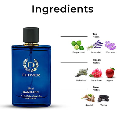 Denver Perfume Pride Body Spray - 100ML | InnerMan
