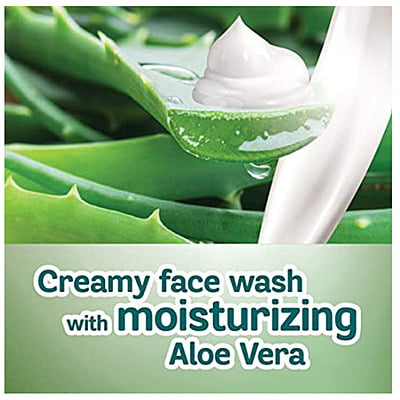 Himalaya Moisturizing Aloe Vera Face Wash Himalaya Moisturizing Aloe Vera Face Wash
