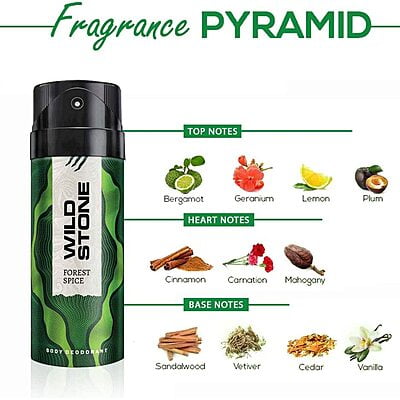 Wild Stone Deo Forest Spice 150Ml Wild Stone Deo Forest Spice 150Ml